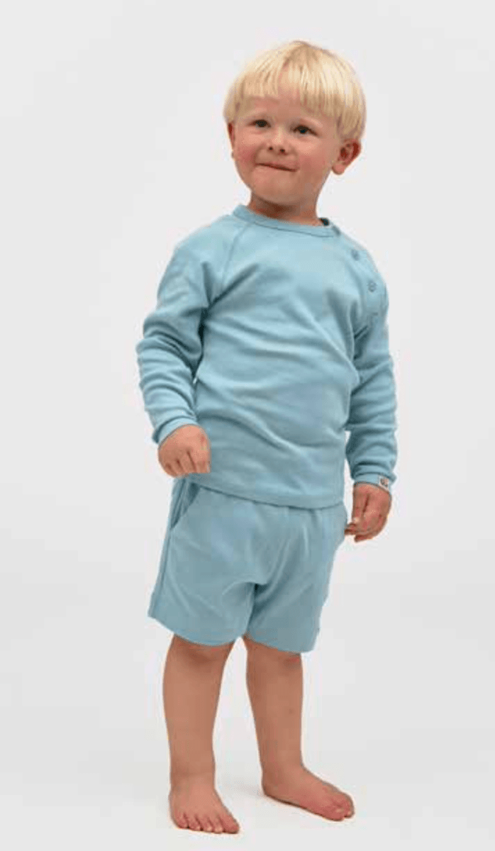 Gullkorn Shorts Villvette askeblå