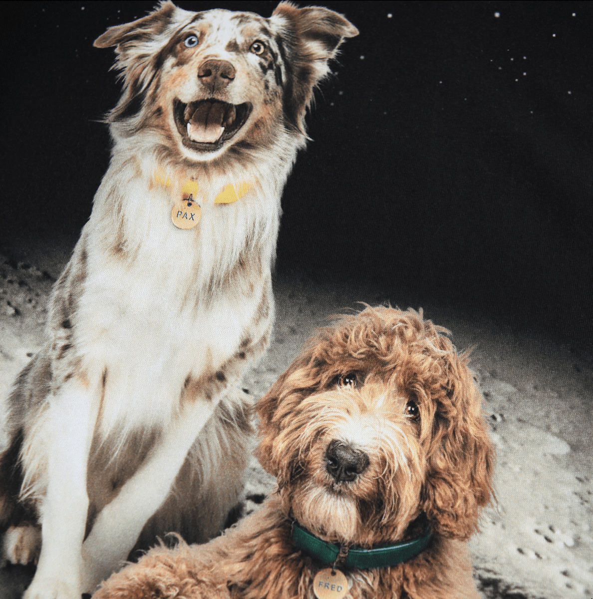 Molo Genser reif moon friends